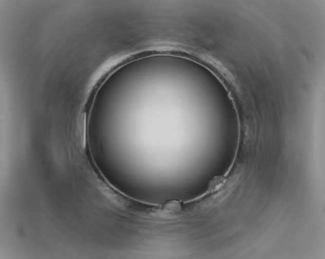 X0000115771175200911131211