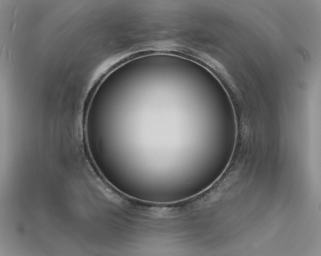 X0000115771176200911131211