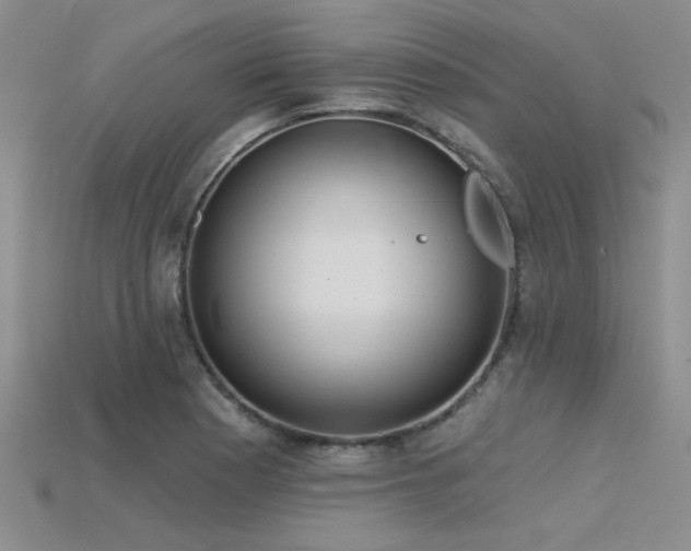 X0000115771177200911131211