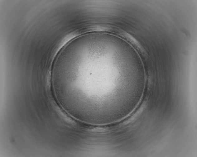 X0000115771178200911131211