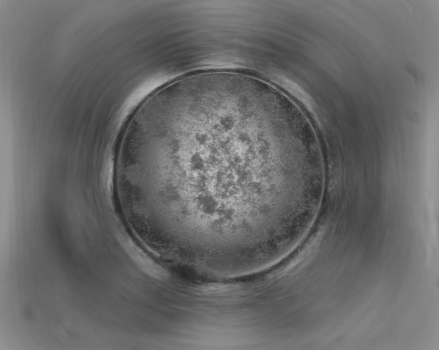 X0000115771179200911131211