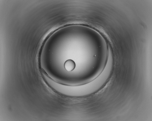 X0000115771181200911131211