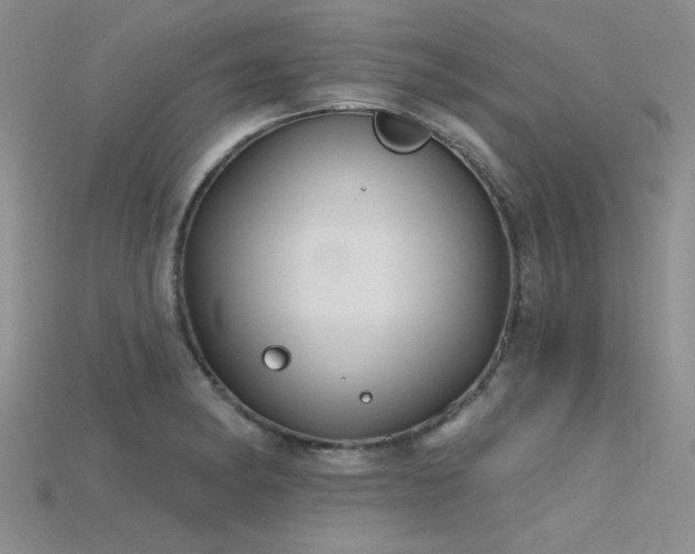 X0000115771182200911131211