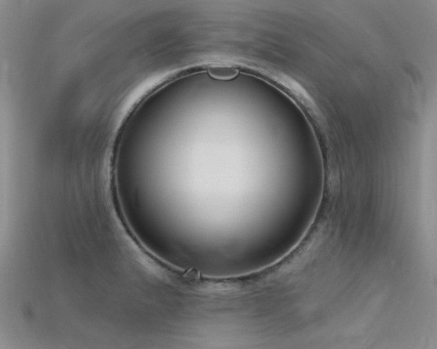 X0000115771183200911131211