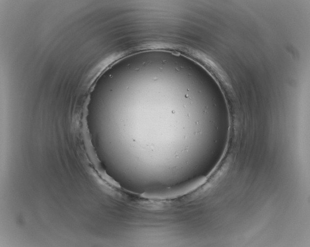 X0000115771185200911131211