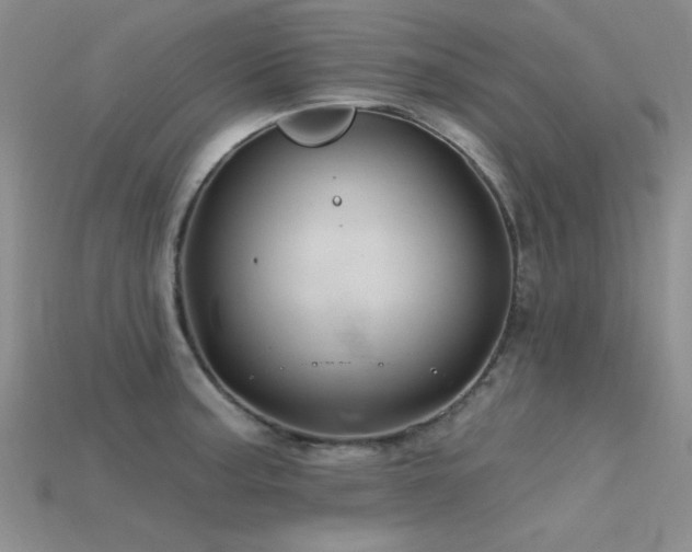 X0000115771187200911131211