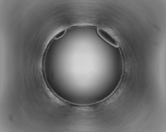 X0000115771189200911131211