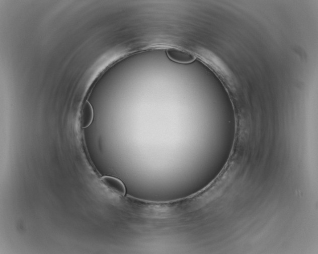 X0000115771190200911131211