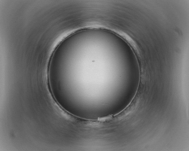 X0000115771191200911131211