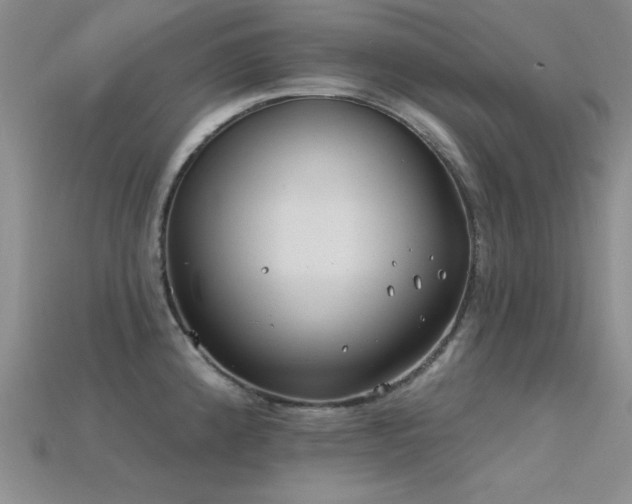 X0000115771192200911131211