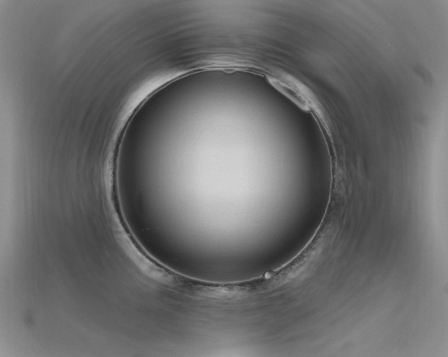 X0000115771195200911131210