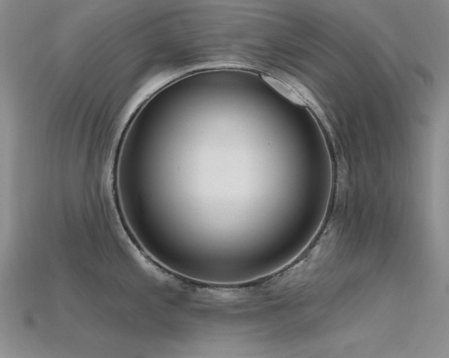 X0000115771197200911131210