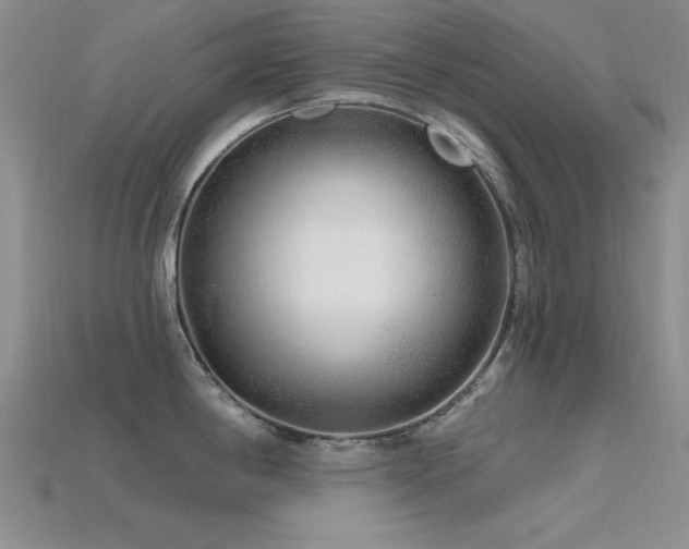 X0000115771198200911131210