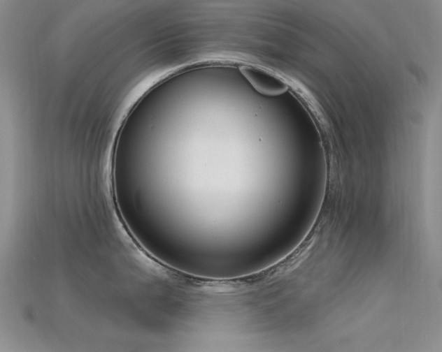 X0000115771199200911131210