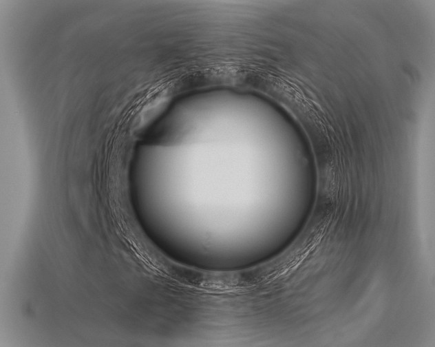 X0000115771201200911131210