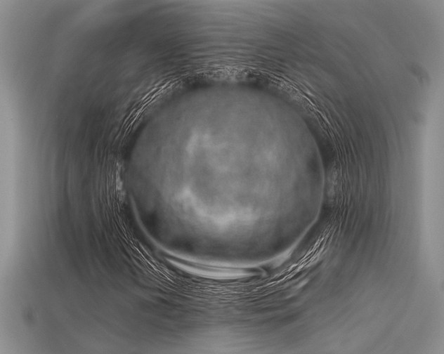 X0000115771202200911131210