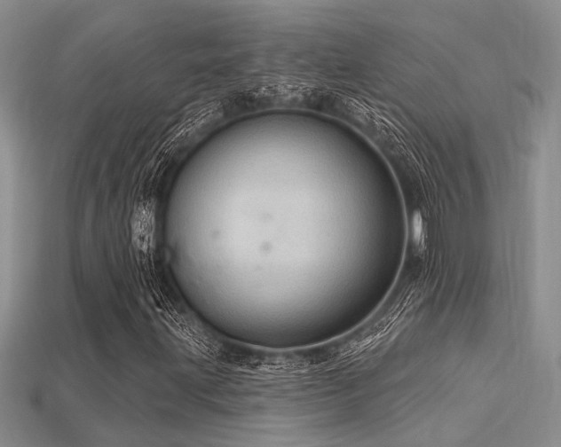 X0000115771203200911131210