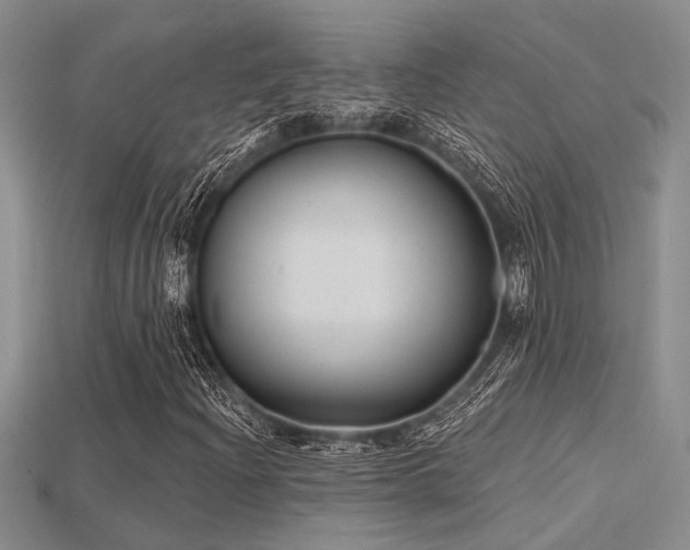 X0000115771204200911131210