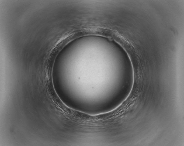 X0000115771206200911131210