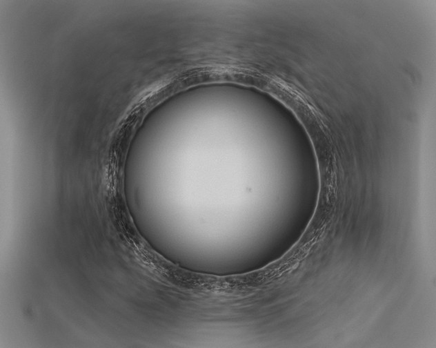 X0000115771207200911131210