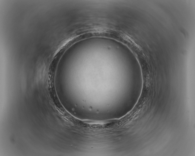 X0000115771208200911131210