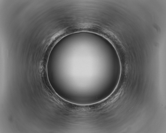 X0000115771210200911131210