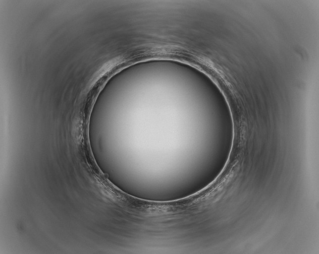 X0000115771211200911131210