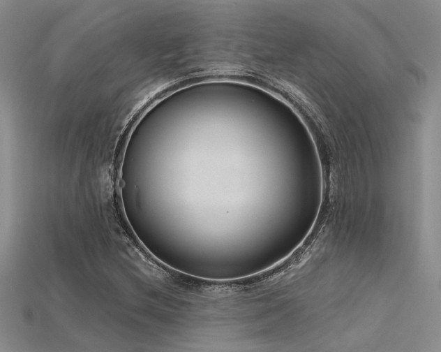 X0000115771212200911131210