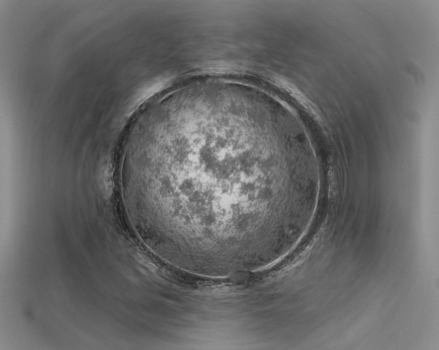 X0000115771213200911131210