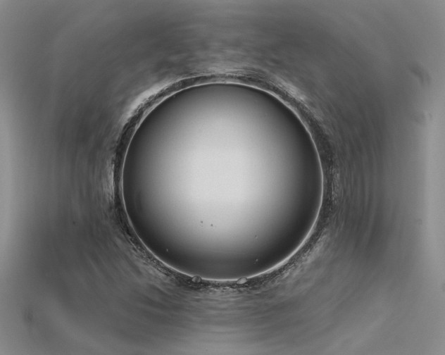 X0000115771214200911131210