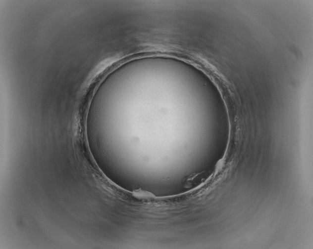 X0000115771215200911131210