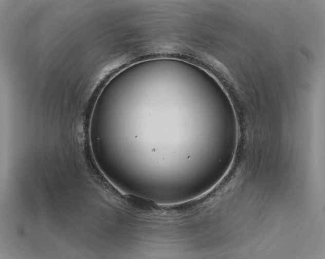 X0000115771218200911131210
