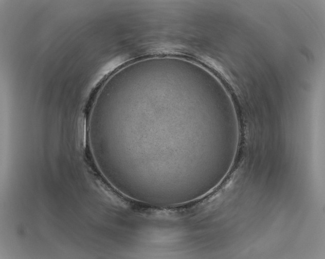 X0000115771219200911131210