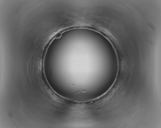 X0000115771220200911131210