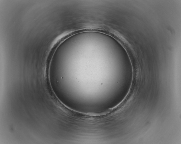 X0000115771222200911131210
