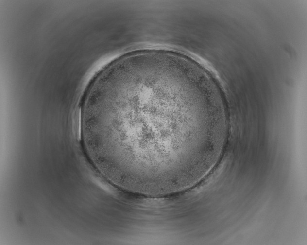X0000115771223200911131210