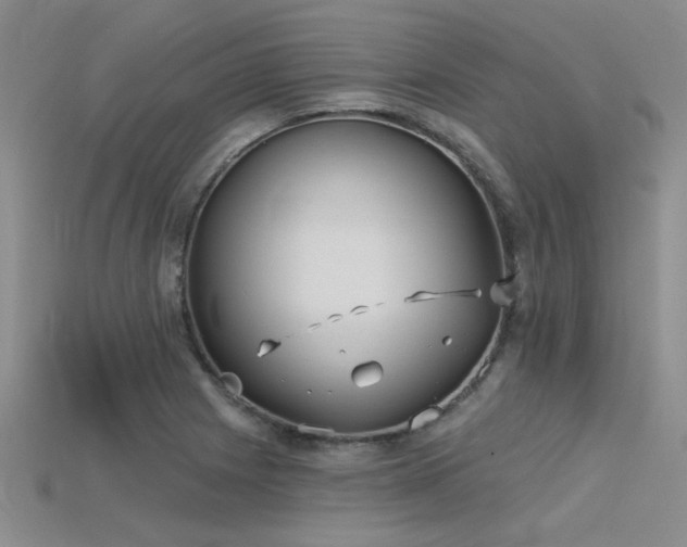 X0000115771225200911131210