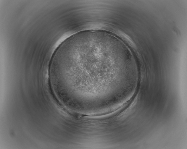 X0000115771226200911131210