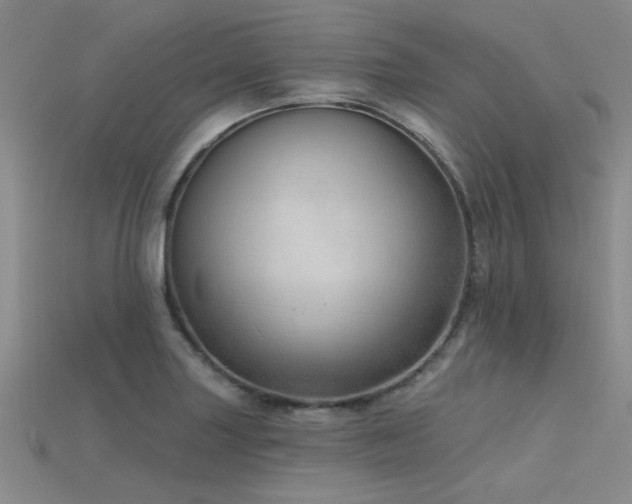 X0000115771227200911131210