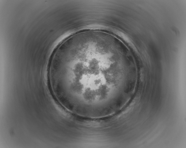 X0000115771229200911131210