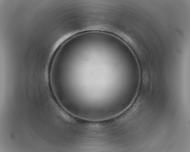 X0000115771230200911131210