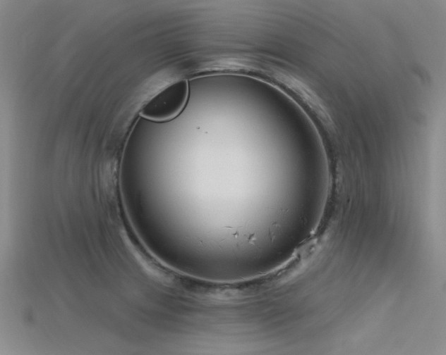 X0000115771233200911131210