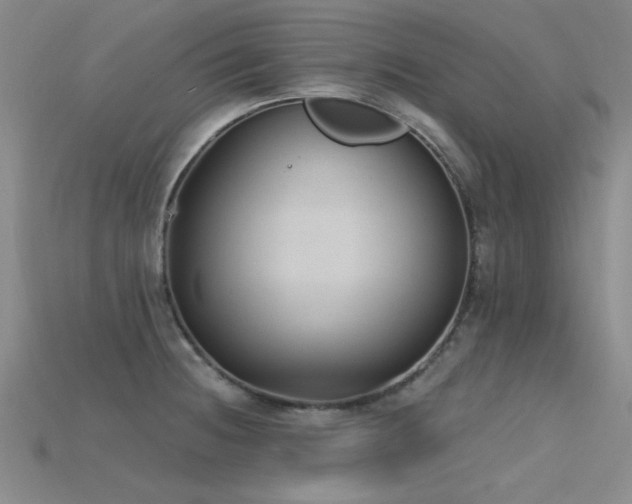 X0000115771236200911131210