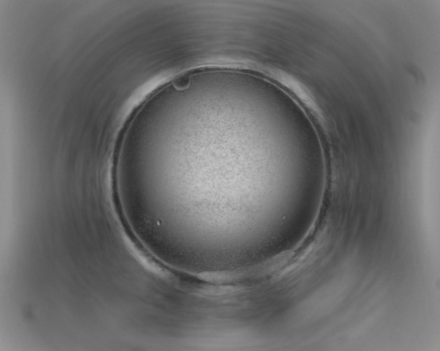 X0000115771237200911131210