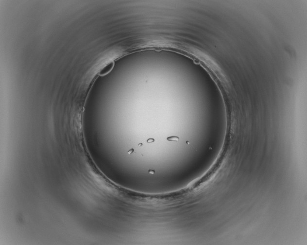 X0000115771241200911131210