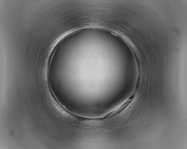 X0000115771246200911131210