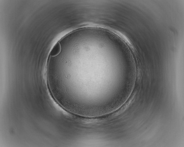 X0000115771247200911131210