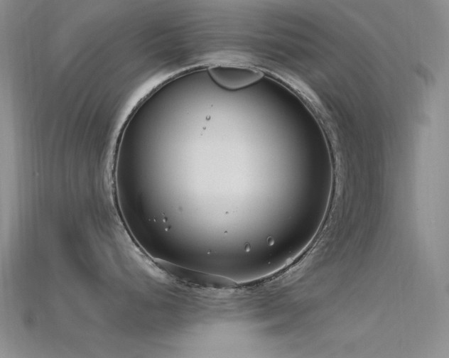 X0000115771248200911131210