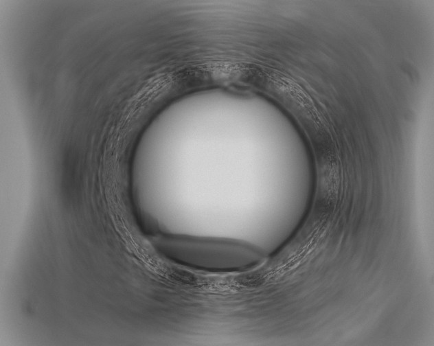 X0000115771249200911131210