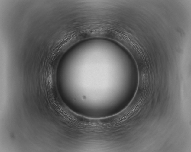 X0000115771250200911131210